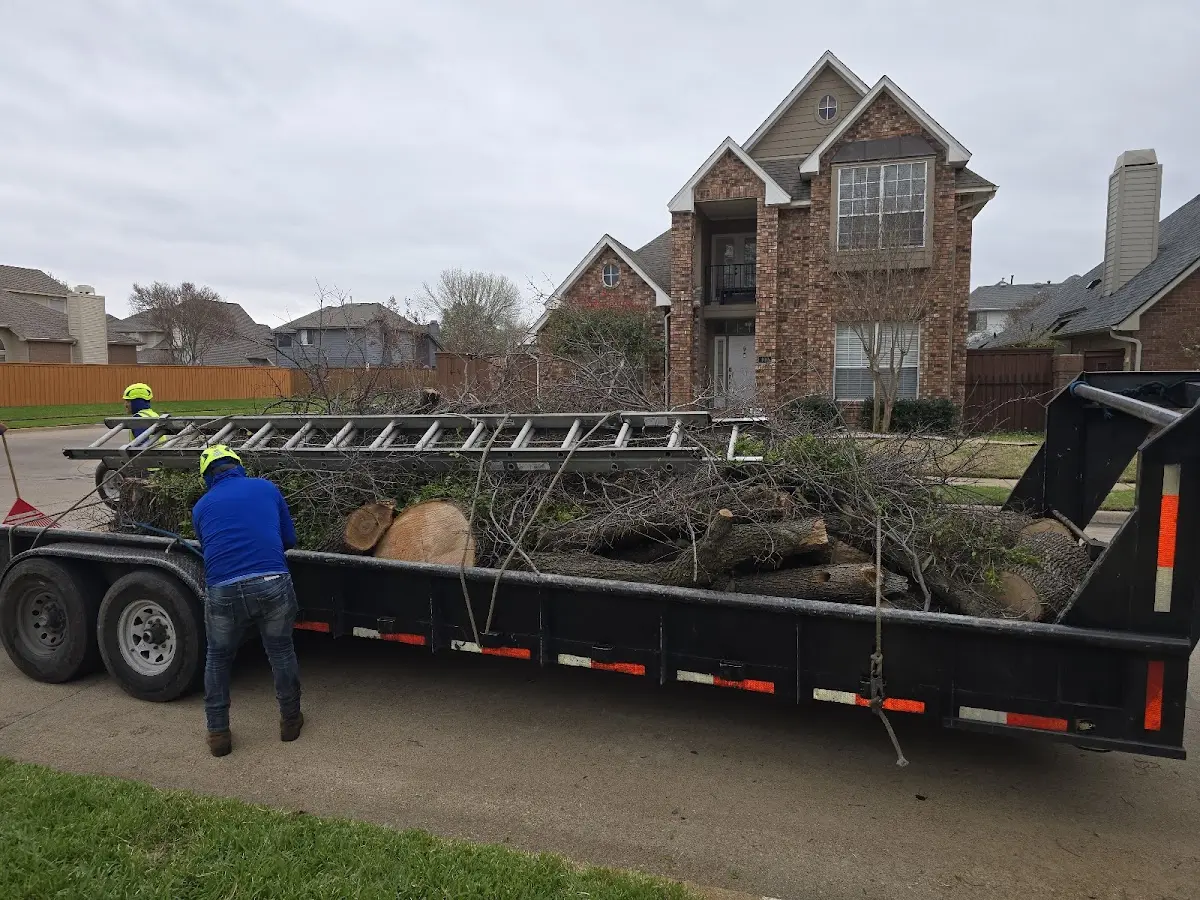 Expert Tree Fertilization with proper safety equipment in Johnstown